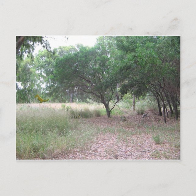 There's a dinosaur in the forest... postcard (Front)