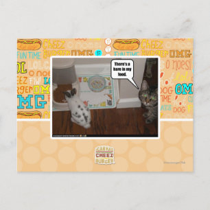 There's a hare in my food. postcard