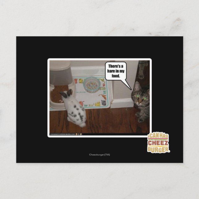 There's a hare in my food. postcard (Front)