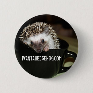 There's a hedgehog in my coffee 6 cm round badge