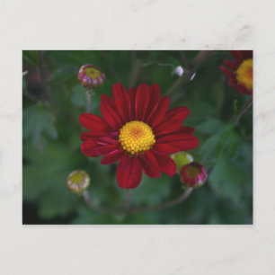 There's a mum in the air... postcard