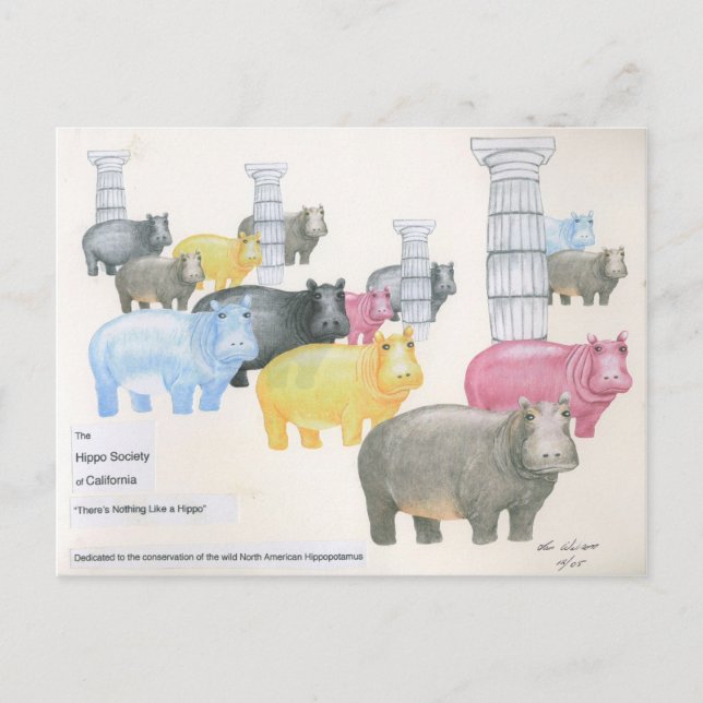 There's Nothing Like a Hippo Postcard (Front)