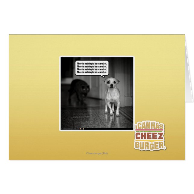 There's nothing to be scared of (Front Horizontal)