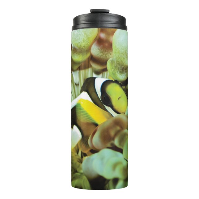 Thermal mug with clownfish design (Front)