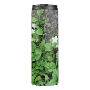 Thermal Tumbler