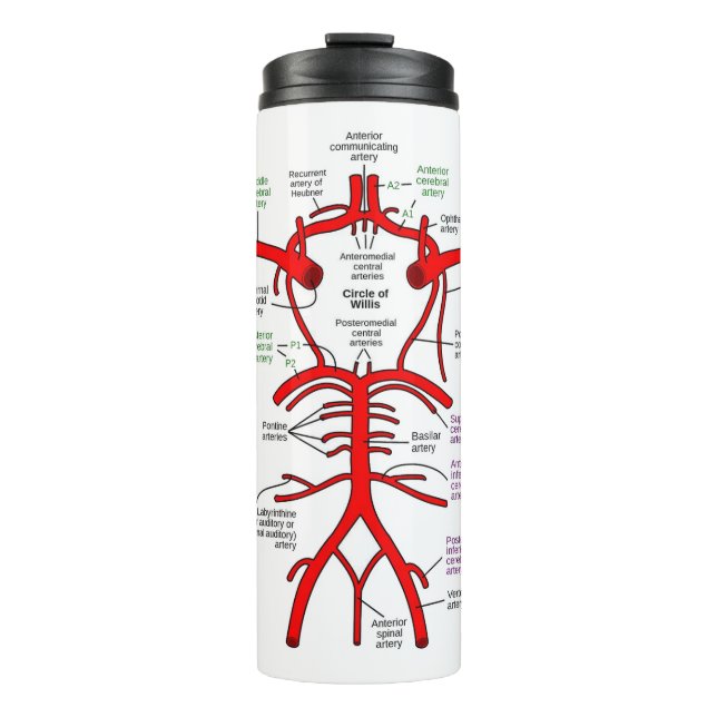 Thermal Tumbler (Front)