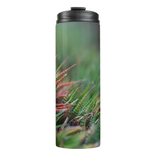 Thermal Tumbler