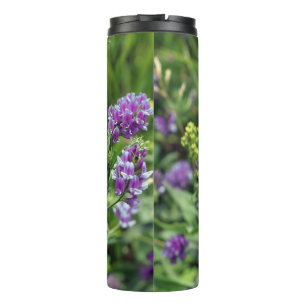 Thermal Tumbler