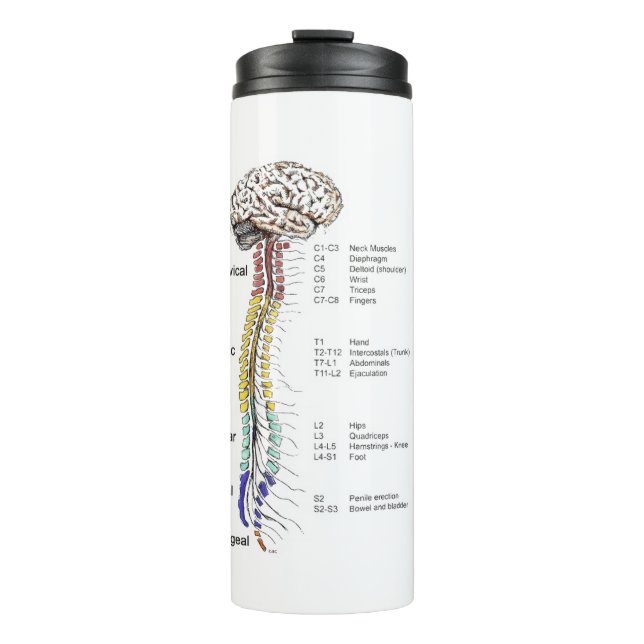 Thermal Tumbler (Front)