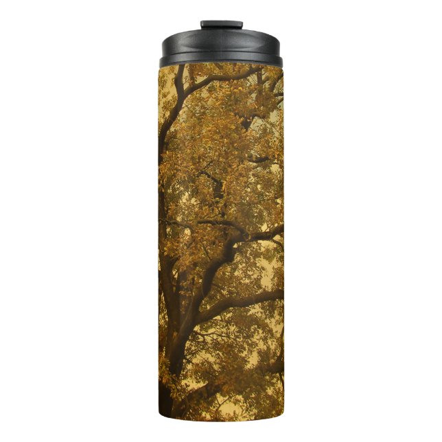Thermal Tumbler Autumn Massive Tree Yellow (Front)