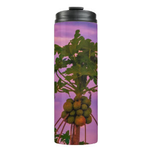 Thermal Tumbler Papaya Tree And Brazilian Sunset