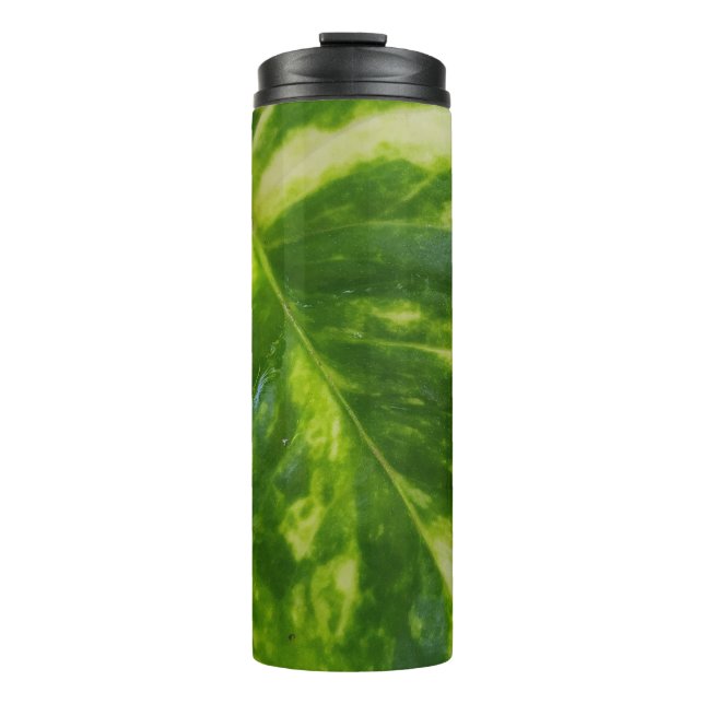 Thermal Tumbler with Money Plant Leaf Design (Front)