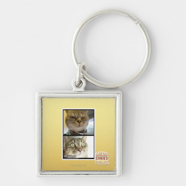 Thermometer Key Ring (Front)