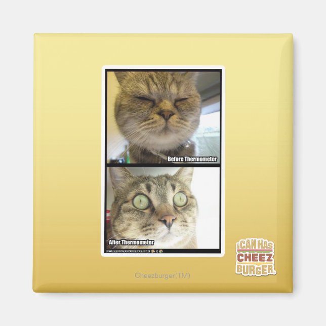 Thermometer Magnet (Front)