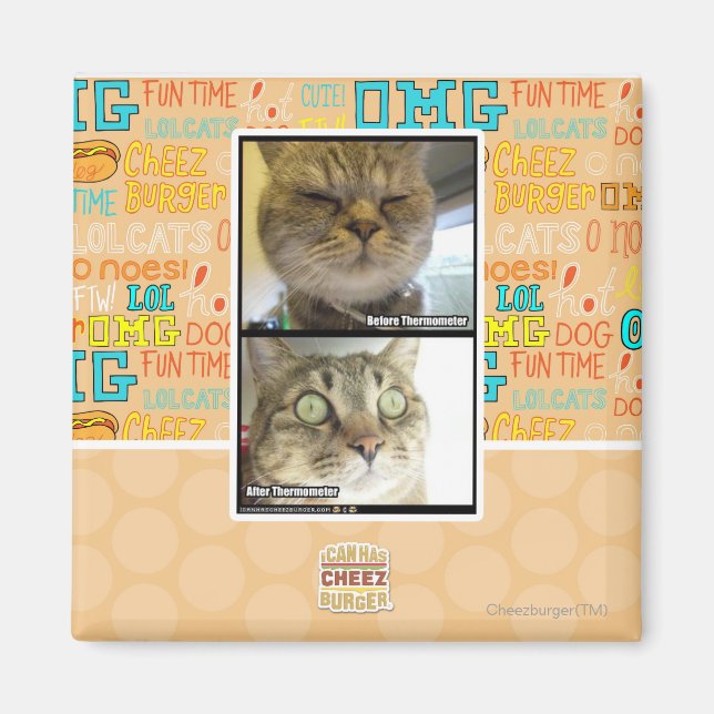 Thermometer Magnet (Front)