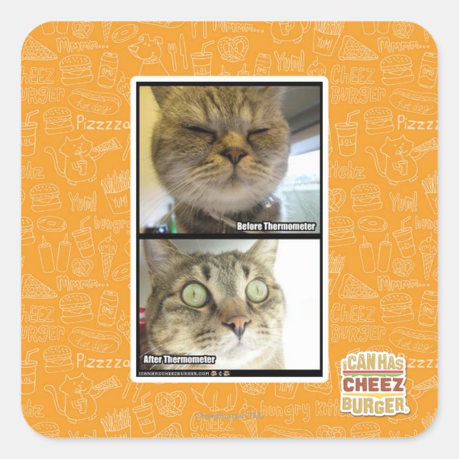 Thermometer Square Sticker (Front)