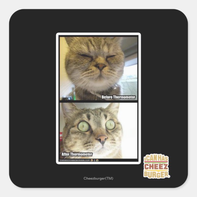 Thermometer Square Sticker (Front)