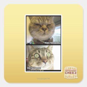 Thermometer Square Sticker