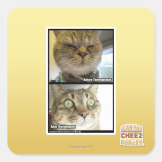 Thermometer Square Sticker