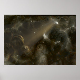 Therone   Weird cave Poster