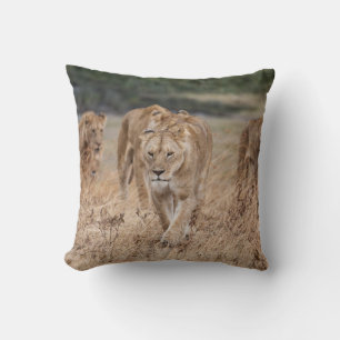 THESE ANIMALS DIDN’T SEEM THAT SCARY COMING UP T CUSHION