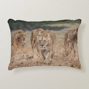 THESE ANIMALS DIDN’T SEEM THAT SCARY COMING UP THE DECORATIVE CUSHION