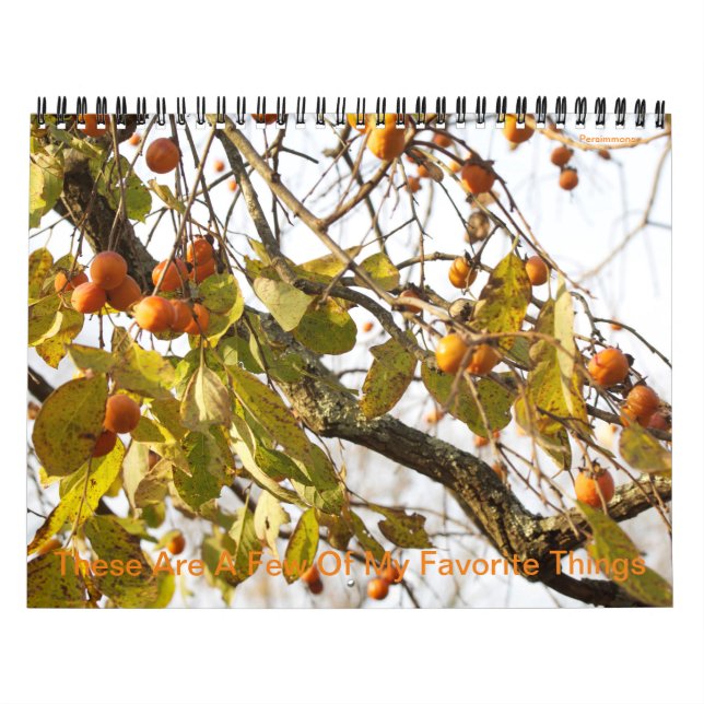 These Are A Few Of My Favourite Things Calendar (Cover)
