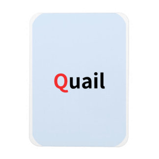 These are coloured alphabet flashcards. magnet