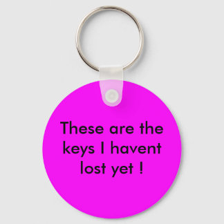 These are the keys I havent lost yet ! Key Ring