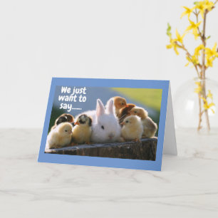 THESE CUTIES SAY **HAPPY BIRTHDAY** GROUP CARD