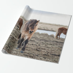 THESE HORSES ARE VERY SWEET AND INQUISITIVE WRAPPING PAPER