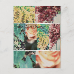 These Quiet Seasons Four Seasons Postcard