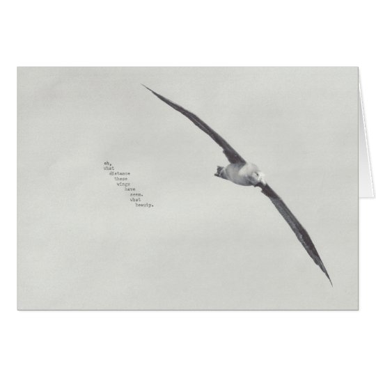 "these wings" card