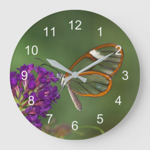 They call me clear-wing large clock