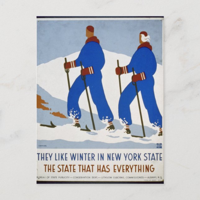 They like winter in New York State Postcard (Front)