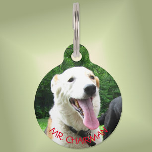 They NEED Me -- Pet Tag