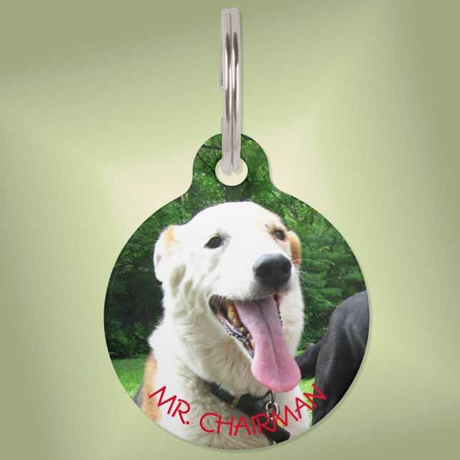 They NEED Me --  Pet Tag (Creator Uploaded)