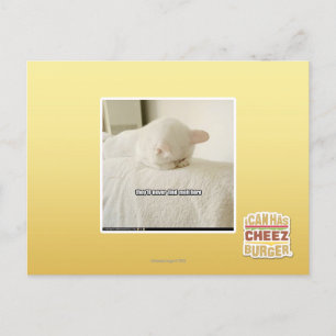 they'll never find meh here postcard