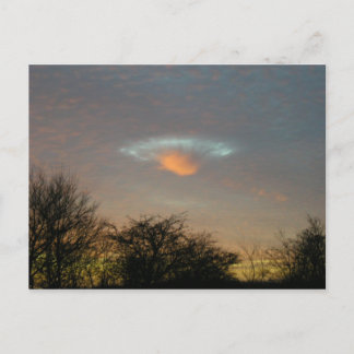 . . . They're Here!!! Postcard