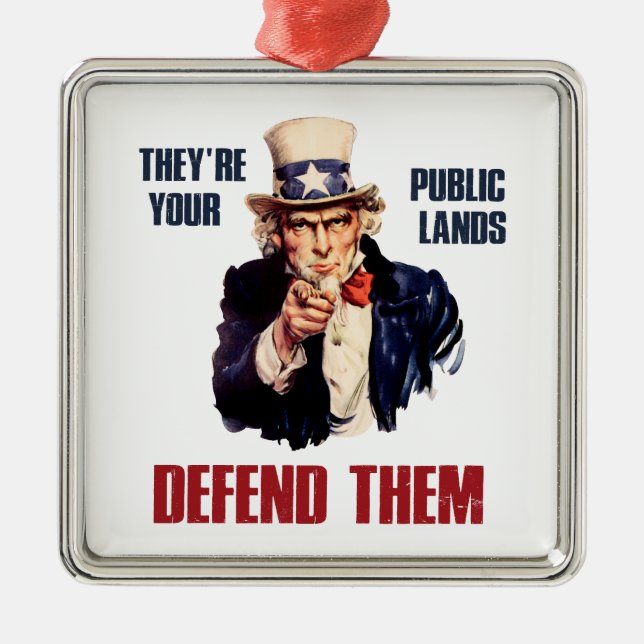 They're Your Public Lands Defend Them Uncle Sam Metal Ornament (Front)