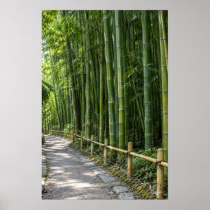 Thick Bamboo Forest Pathway with Rustic Fence Prin Poster