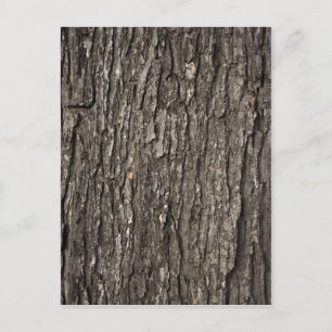 Thick Tree Bark Postcard