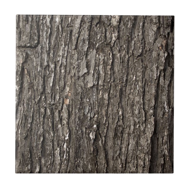 Thick Tree Bark Tile (Front)