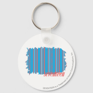 Thin Stripes Aqua 4 Key Ring
