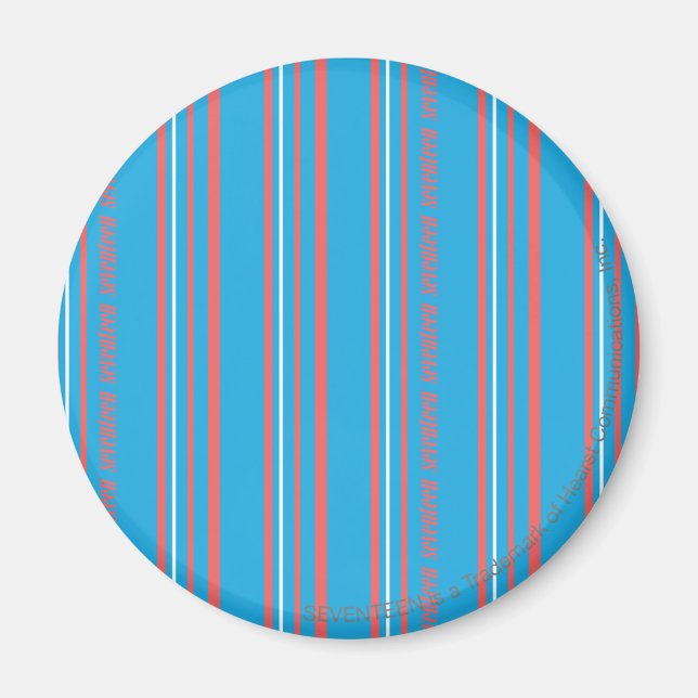 Thin Stripes Aqua Magnet (Front)