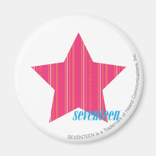 Thin Stripes Magenta 3 Magnet