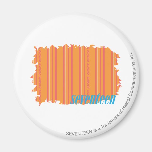 Thin Stripes Orange 2 Magnet (Front)