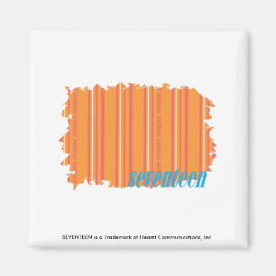 Thin Stripes Orange 2 Magnet
