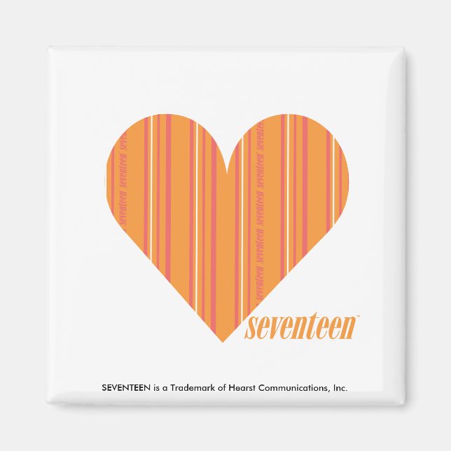 Thin Stripes Orange 3 Magnet (Front)