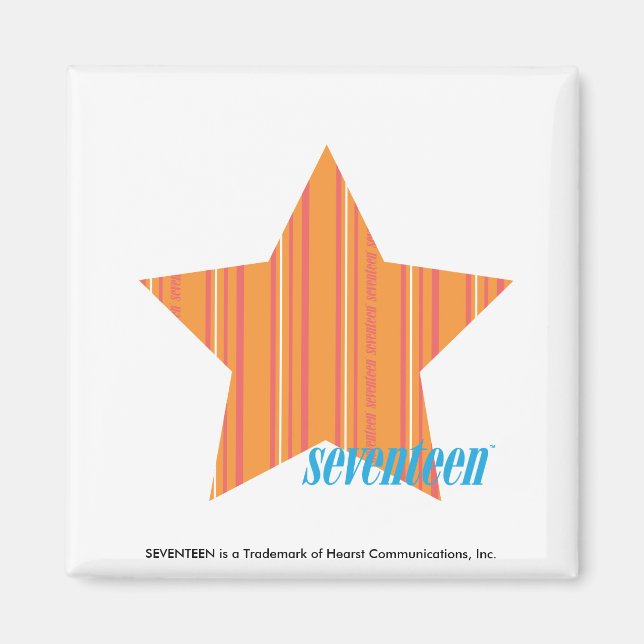 Thin Stripes Orange 4 Magnet (Front)